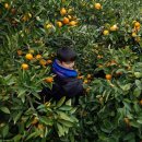 효천 액터스체육관 이미지