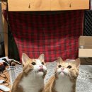 경자부엌 이미지