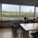 레이지템플 이미지