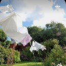 있었던 것들, 모르게 없어지는 것들 이미지