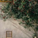 경기대로652번길 이미지