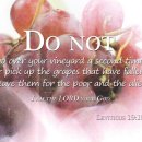 Verse of the day and prayer_260622 이미지