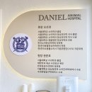 다니엘동물병원 - 고양시 일산동구 일산로 233 | 다니엘동물병원