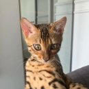 구로-현장-구로-450 이미지