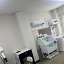 스프링댕댕 이미지