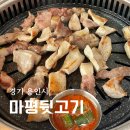 용인 처인구 맛집 마평동 마평뒷고기 뒷고기 항정살 후기