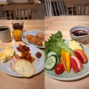 핀란드의아침 | 핀란드 레비 오로라 투어 헌팅 후기