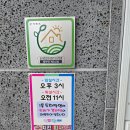 뜨란채펜션2 | 거제도 가족펜션 : 오션뷰 숲뷰 모두 즐길 수 있는 뜨란채펜션 들내음 숙박 후기