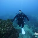 제주 장미여관 이미지