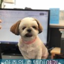 더조은동물의료센터 이미지