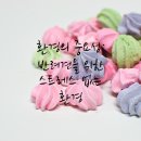 안산동물병원 이미지