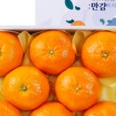 온더브릭스