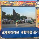 한마음교통 | 경인아라뱃길 빛의거리 계양아라온 한마음걷기 2025년 행사 후기