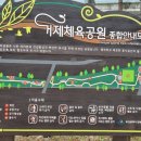 쌈지거제 이미지