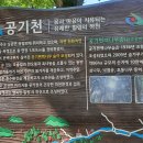 완주편백숲으로