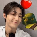 [64♡] Shrek thinks he's me ; #MoonlitDrafts 이미지