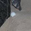 기범농장 이미지