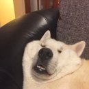 군산부동산공인중개사사무소 이미지