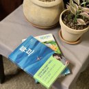 서림민박 이미지