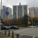 진영동물약국 Daum카페