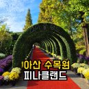 레이크케이크샵 | 충남 아산 피나클랜드 수목원 | 불꽃 국화축제 | 애견동반·식당·카페 후기