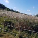 장산경로당 이미지