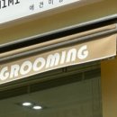 미미 펫 그루밍 네이버블로그