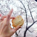 빵돌이네 포차 | [공지] 목포 빵 맛집 씨엘비베이커리 주차 및 후기. 4월 목포여행 봄피크닉 바게트 디저트 추천