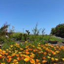 고래섬민박 이미지