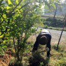 나무다락방 민박 이미지