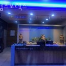 킹덤스포렉스 이미지