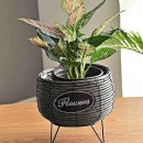 화분