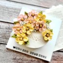 내이동우체국 이미지