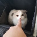 금천종합동물병원 이미지