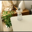 제이유인터내셔널 이미지