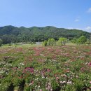 길 당구카페 이미지