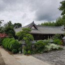 선와당 이미지