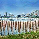 하얀빨래센터 이미지