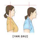 일레븐핏 김해점 네이버블로그