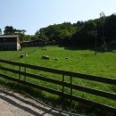 윤정목장 이미지