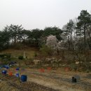 금수봉농장 이미지