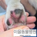 이을동물병원 이미지