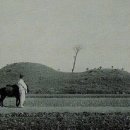 황남동 고분 - 1920년대. 이미지