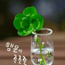 3월2일 월요일 충방출석부 이미지