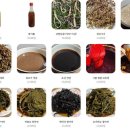 영덕농장 이미지