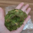 앤스하우스 이미지