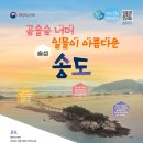 솔섬(송도) 네이버블로그