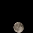 플라워펜션 이미지