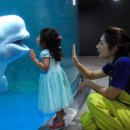 아쿠아플라넷 여수 이미지