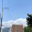 호계농협하나로마트 이미지